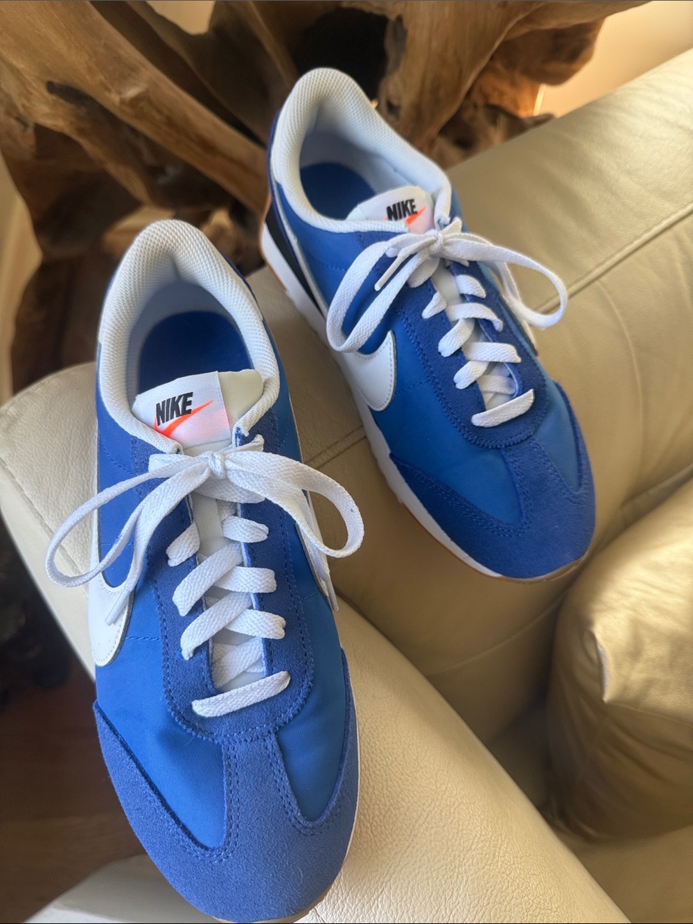 Nike Blue and White Classic Runner Sneakers